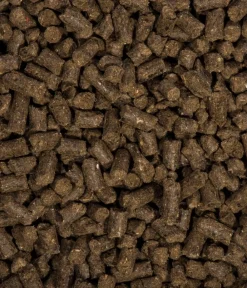 Compo Universaldünger|Blumendünger > BIO Universal Langzeit-Dünger mit Schafwolle, 2 kg