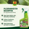 Compo Pilzmittel - Duaxo® Rosen Pilz-frei AF, 750 ml