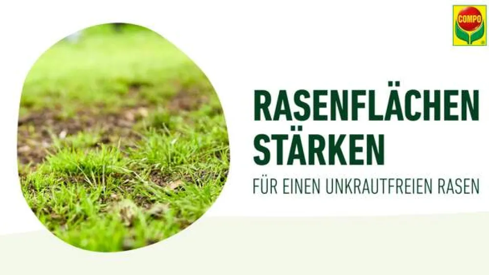 Compo Rasendünger|Spezialdünger > Rasendünger Unkraut & Moos Nein danke!, 1,3 l