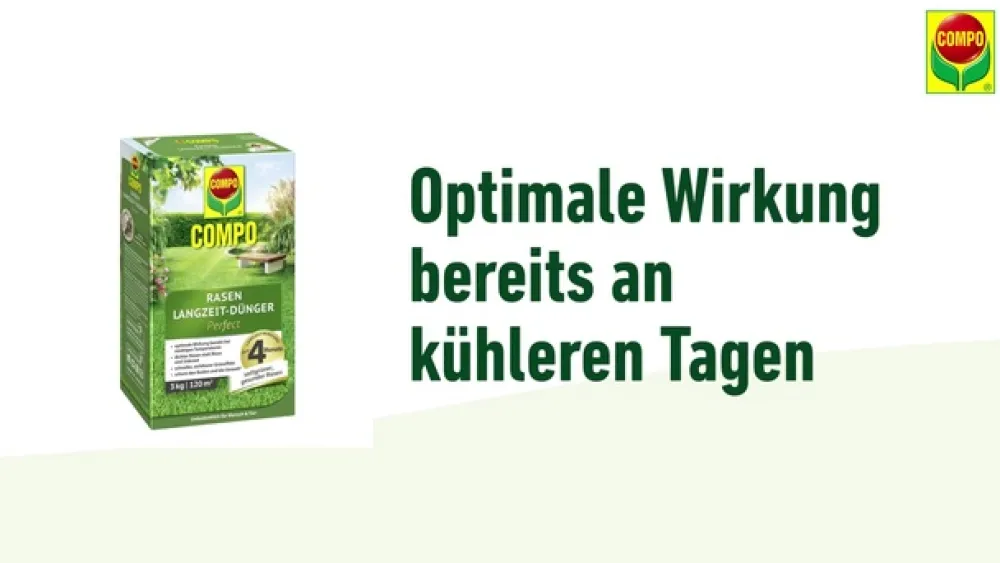 Compo Rasendünger > Rasen Langzeit-Dünger Perfect