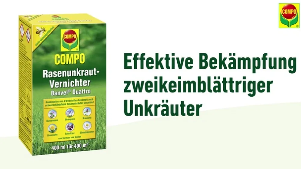 Compo Unkrautvernichter - Rasenunkraut-Vernichter Banvel® Quattro
