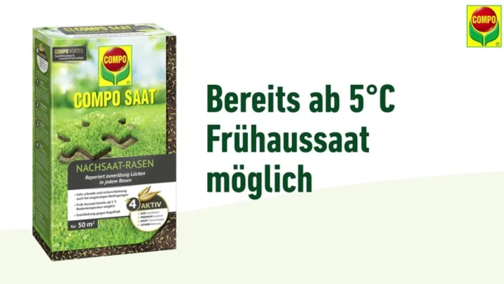 Compo Rasensamen - Saat® Nachsaat-Rasen