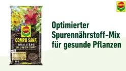 Compo SANA® COMPACT Qualitäts-Blumenerde Sale