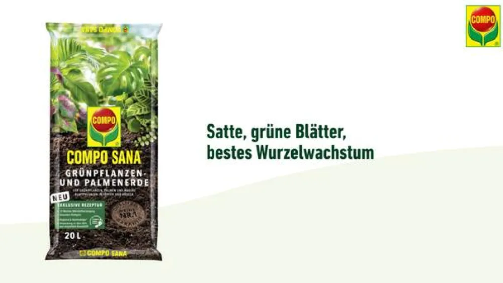 Compo Spezialerde > SANA® Grünpflanzen- und Palmenerde, 20 l