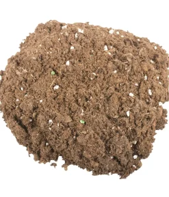 Compo Sana® Qualitäts-Blumenerde 50% weniger Gewicht New