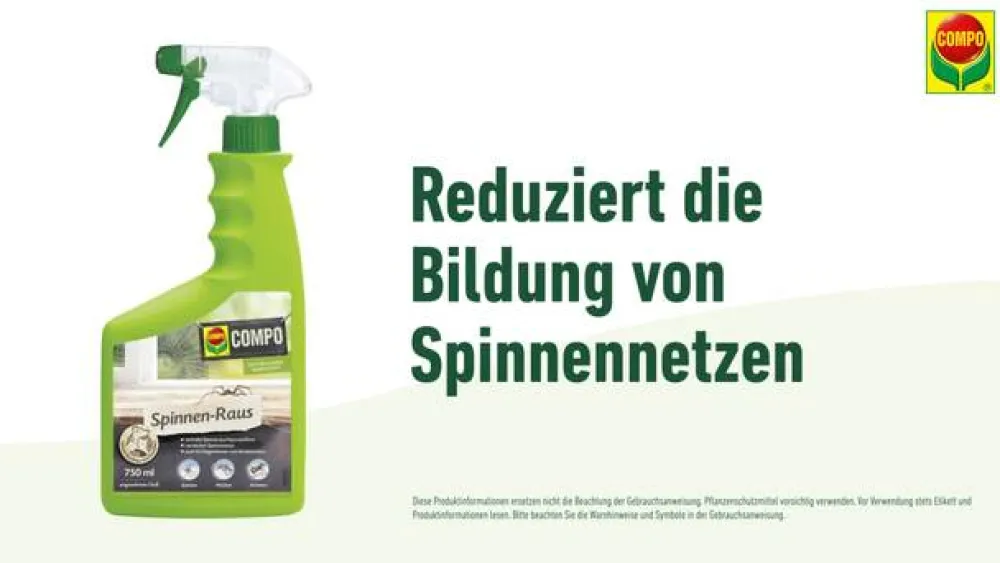 Compo Spinnen-Raus, 750 ml Clearance