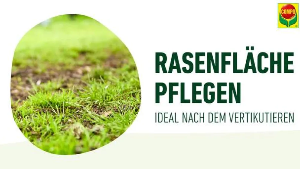 Compo Rasensamen > Vertikutier-Mix, 4 kg
