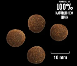 CRAVE™ Trockenfutter Hund > Trockenfutter für Hunde Adult