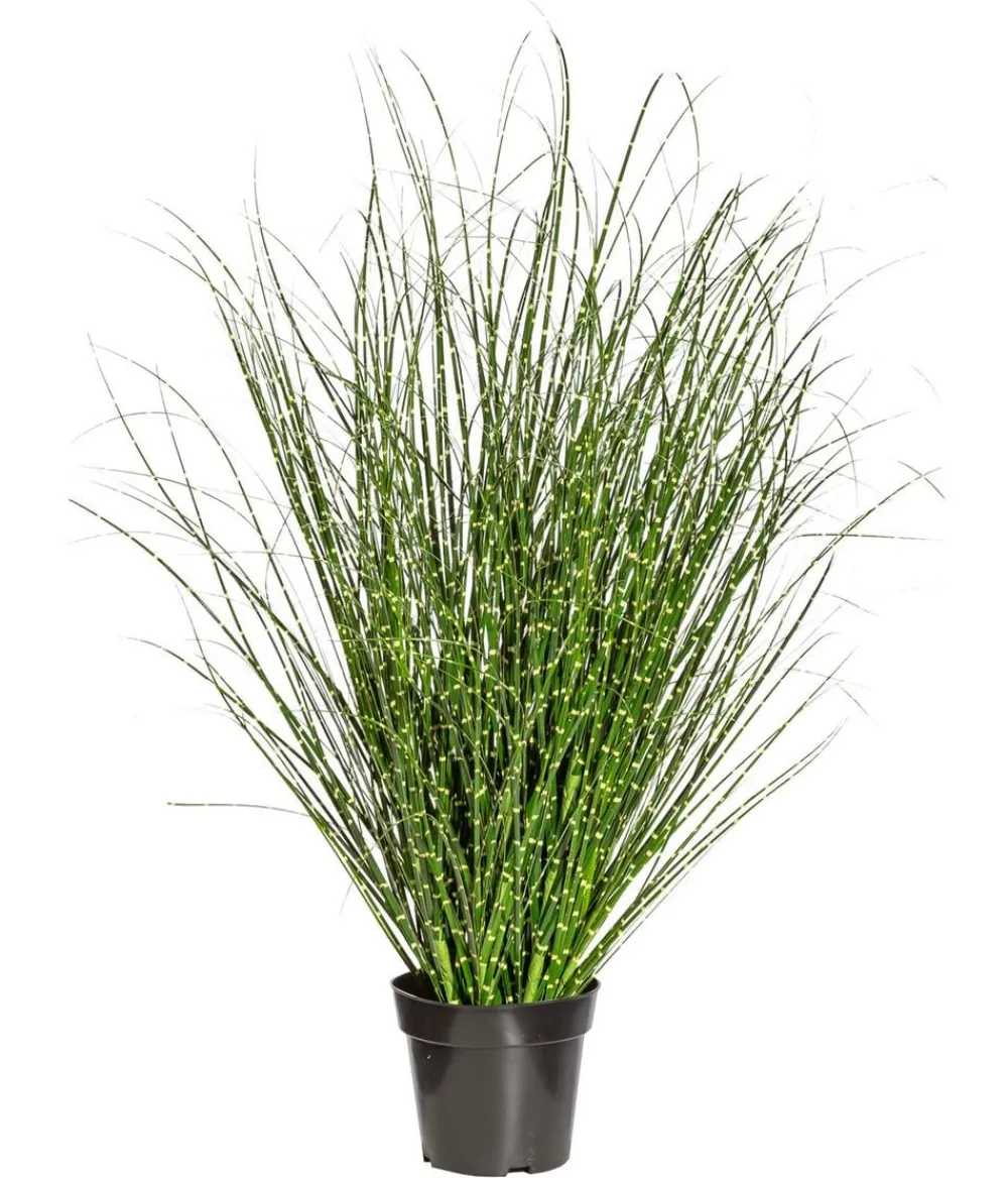 CREATIV green Kunstpflanzen - Kunstpflanze Grasbusch Miscanthus Zebrinus im Topf, ca. H110 cm