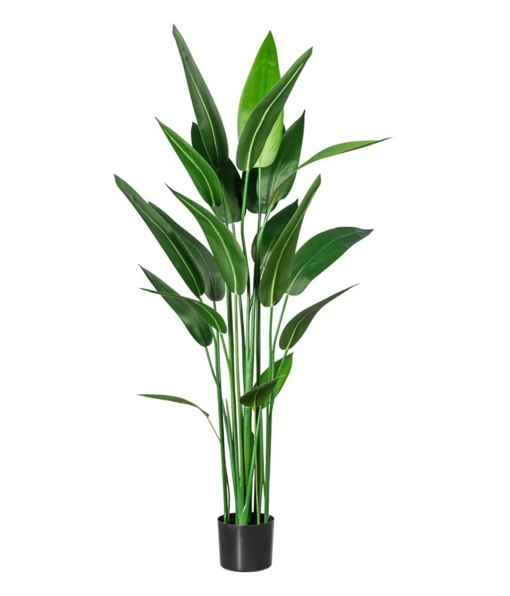 CREATIV green Kunstpflanzen > Kunstpflanze Wassercanna, ca. H140 cm