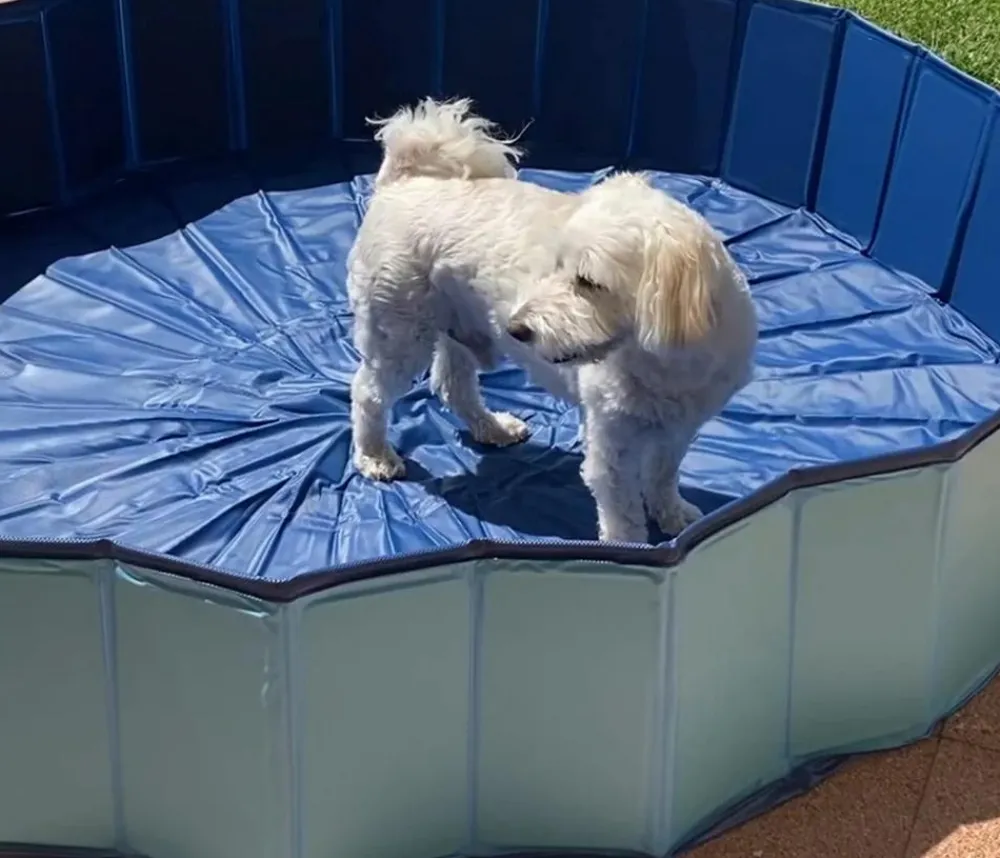 CROCI Hundespielzeug > Hundepool Explorer, rund, ca. Ø120/H30 cm