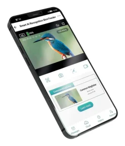 CROCI Nistkästen > Nistkasten Smart Wi-Fi, inkl Kamera, ca. B19,5/H32,3/T20 cm
