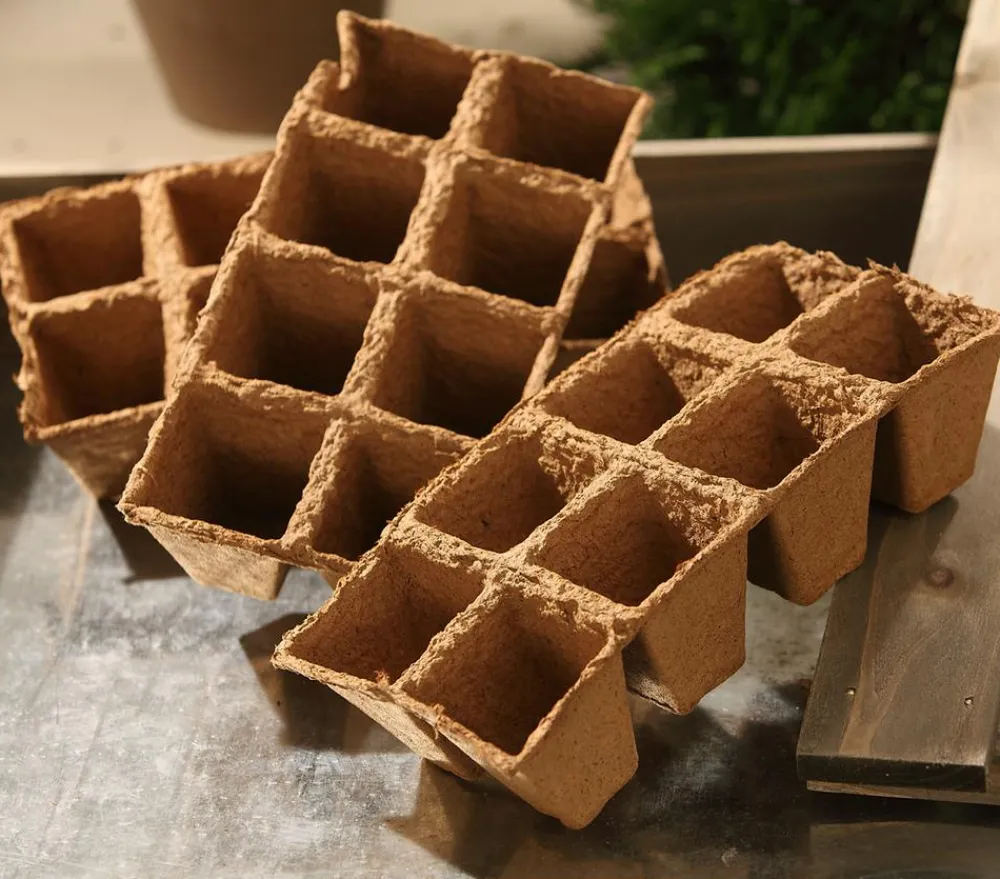 Dehner Anzucht Zubehör > Anzuchttöpfe für Pflanzen, 6 x 6 cm, 24 Stk.
