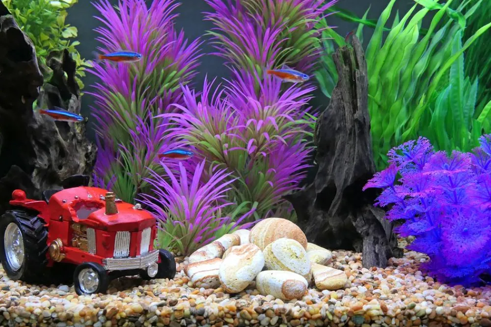 Dehner Aqua Deko > Aquariumdeko Natur-Steine