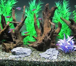 Dehner Aqua Deko > Corbo-Wurzel nano, ca. B14/H20/T12 cm