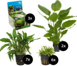 Dehner Aqua Premium Aquariumpflanzen > Aquarienpflanzen-Set für JUWEL® AQUARIUM Lido 120 LED, 18-teilig