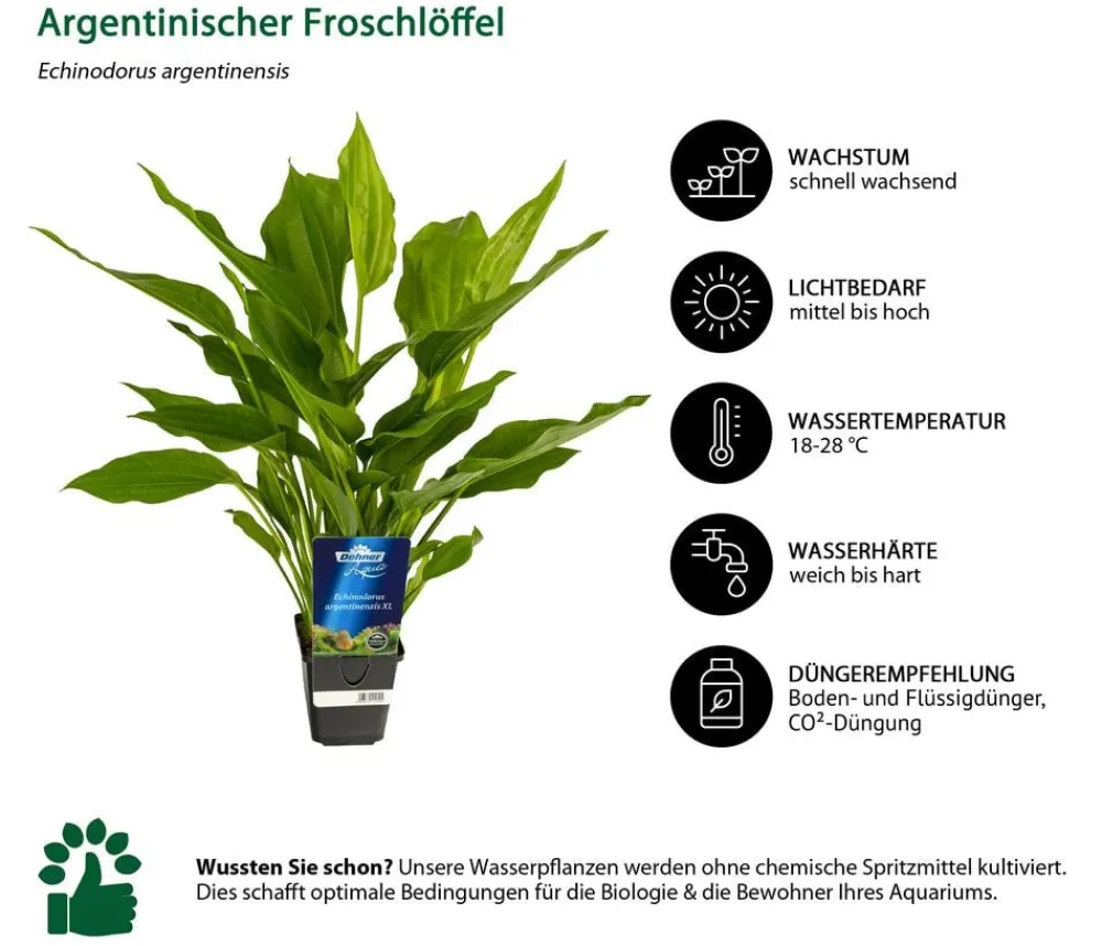 Dehner Aqua Premium Aquariumpflanzen > Aquarienpflanzen-Set für JUWEL® AQUARIUM Lido 120 LED, 18-teilig