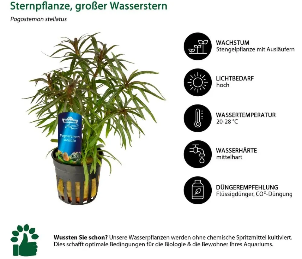 Dehner Aqua Premium Aquarienpflanzen-Set Premium, 15-teilig New