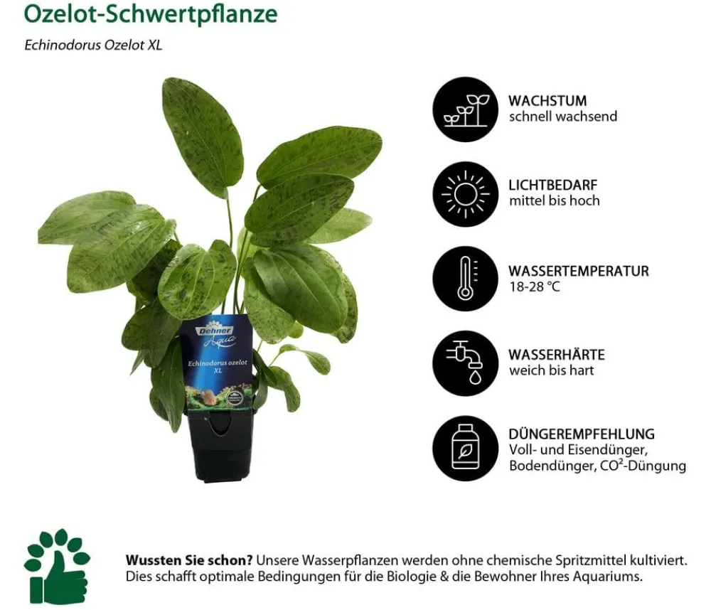 Dehner Aqua Premium Aquarienpflanzen-Set Premium, 15-teilig New