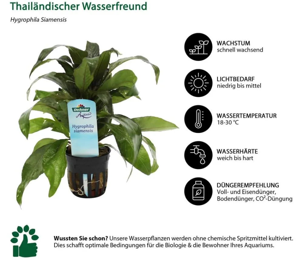 Dehner Aqua Premium Aquarienpflanzen-Set für JUWEL® AQUARIUM Rio 125 LED, 17-teilig Clearance
