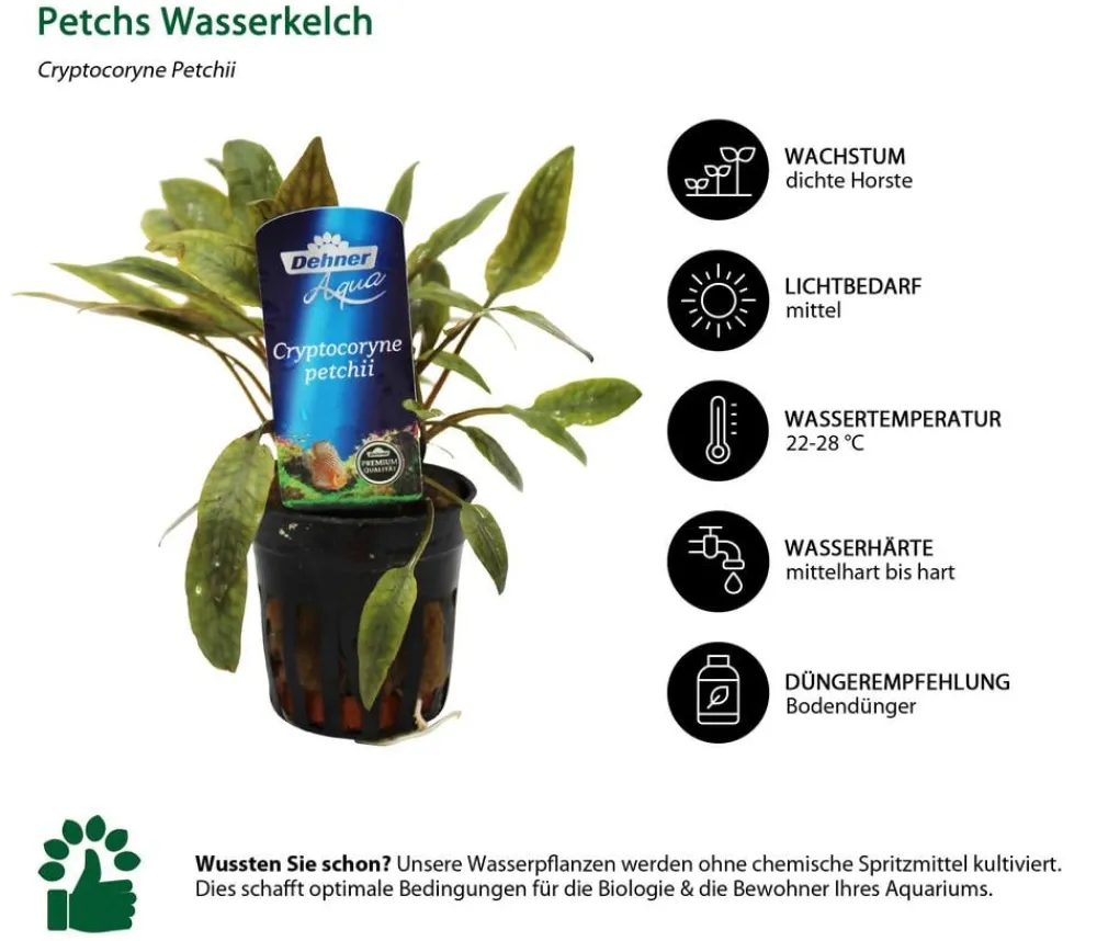 Dehner Aqua Premium Aquariumpflanzen - Aquarienpflanzen-Set Vordergrund- & Bodendeckerpflanzen im Topf, 12-teilig