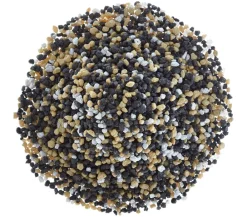 Dehner Aqua Premium Bodengrund - Farbkies Kenia, 2-3 mm