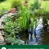 Dehner Aqua Gartenteich·Teichzubehör & Teichpflege|Teichzubehör & Teichpflege > Sauerstofftabletten, 100 g