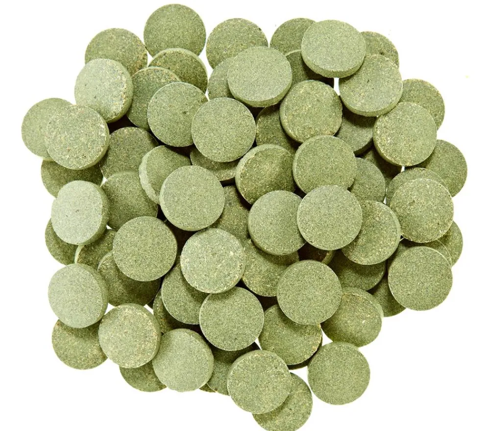 Dehner Aqua Spirulina-Tabs, 90 Stk. Hot