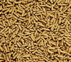 Dehner Aqua Gartenteich·Teichfisch­­Futter|Teichfischfutter > Teichfischfutter Sticks