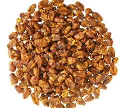 Dehner Aqua Teichfischsnack Seidenraupen, 300 g Hot