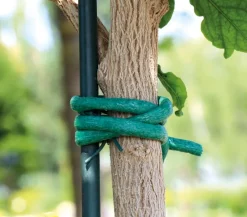 Dehner Baumanbinder geschäumt, ca. 10 m Grün Outlet
