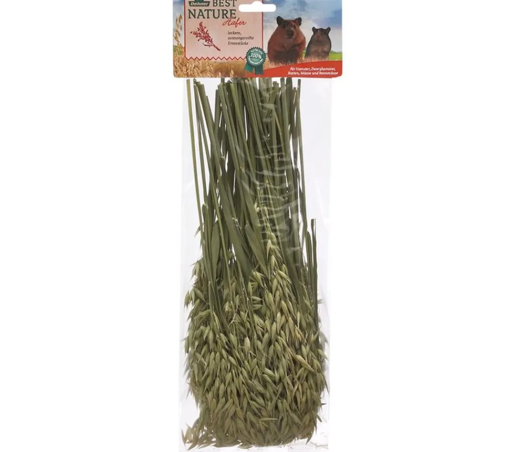 Dehner Best Nature Nahrungsergänzung Kleintiere > Hafer, 75 g