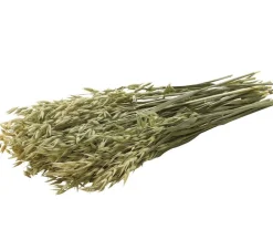Dehner Best Nature Nahrungsergänzung Kleintiere > Hafer, 75 g