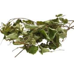 Dehner Best Nature Haselnuss, 25 g Outlet