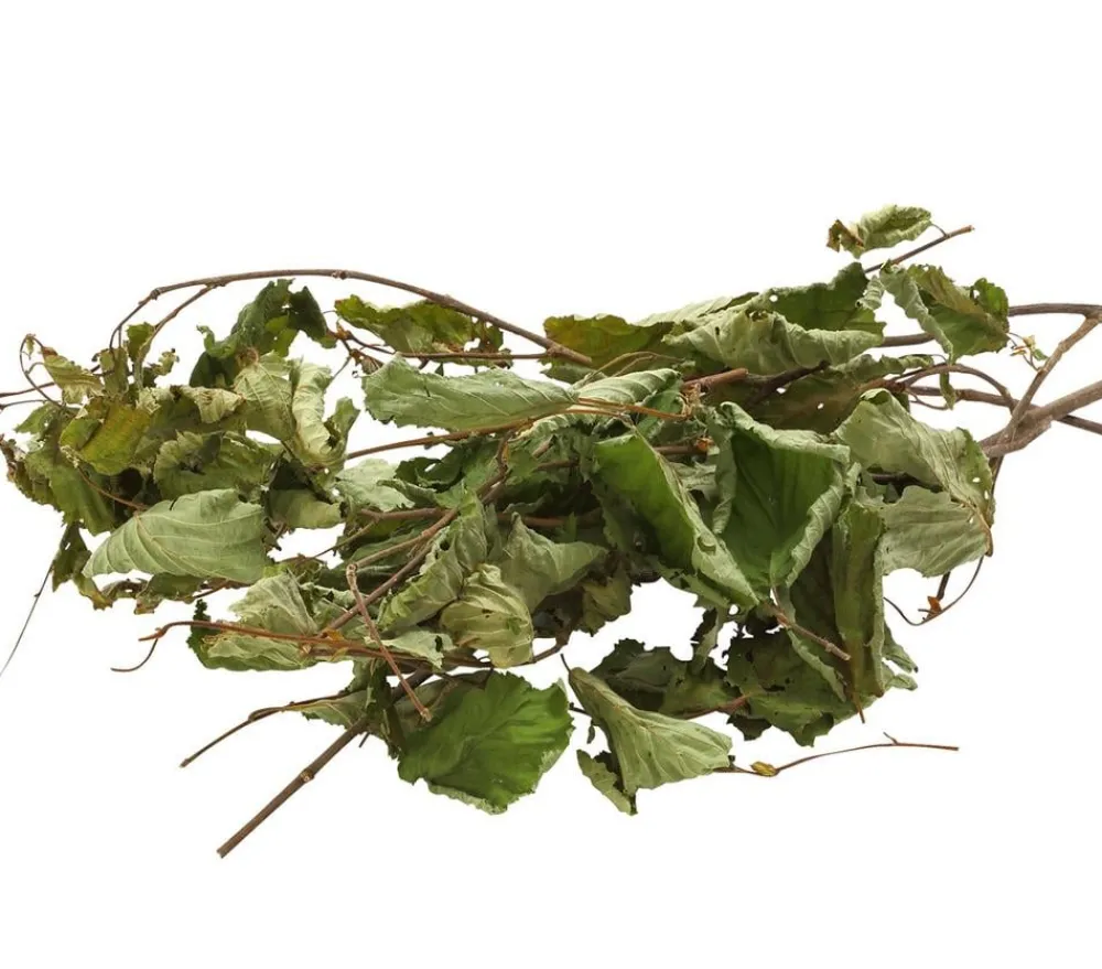 Dehner Best Nature Haselnuss, 25 g Outlet