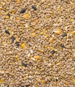 Dehner Best Nature Bauernhof Zubehör|Hühnerfutter - Hühnerfutter Bio Hennenkorn