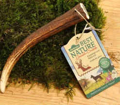 Dehner Best Nature Hundeleckerlies > Hundesnack Kaustange vom Rothirsch, ganz