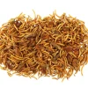 Dehner Best Nature Nahrungsergänzung Kleintiere - Insekten-Mix, 60 g
