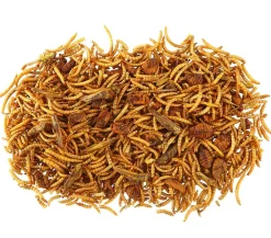 Dehner Best Nature Nahrungsergänzung Kleintiere - Insekten-Mix, 60 g