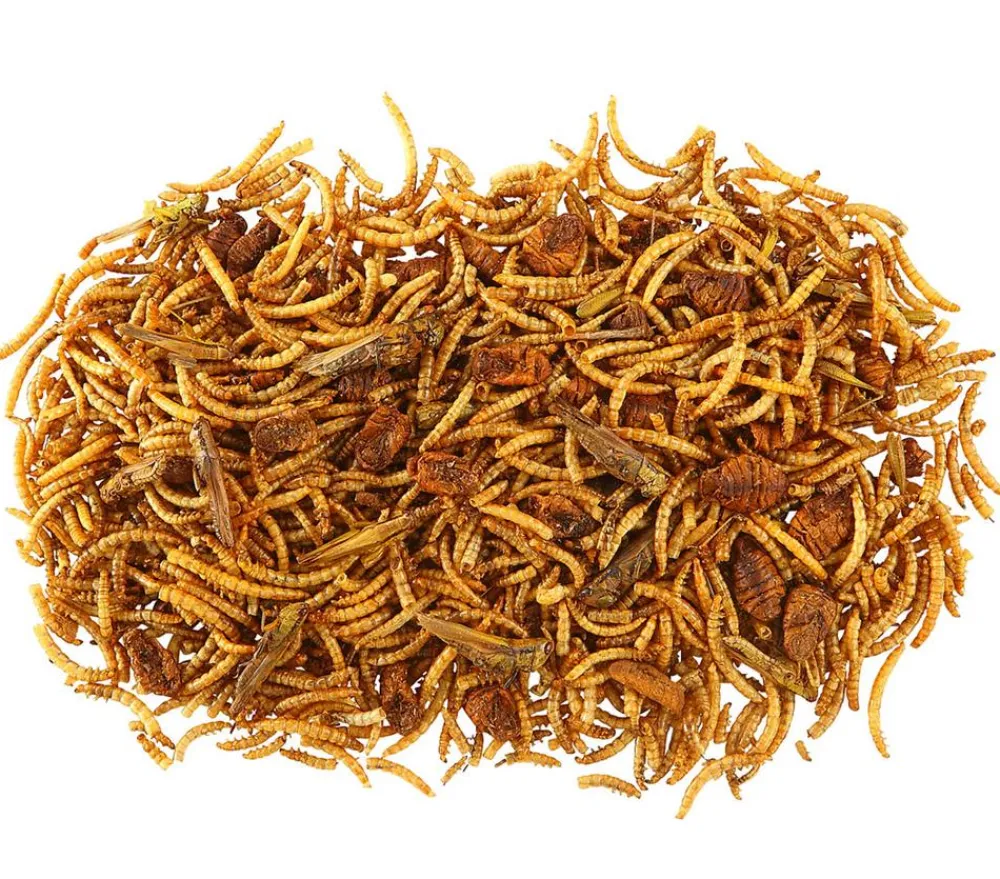 Dehner Best Nature Nahrungsergänzung Kleintiere - Insekten-Mix, 60 g