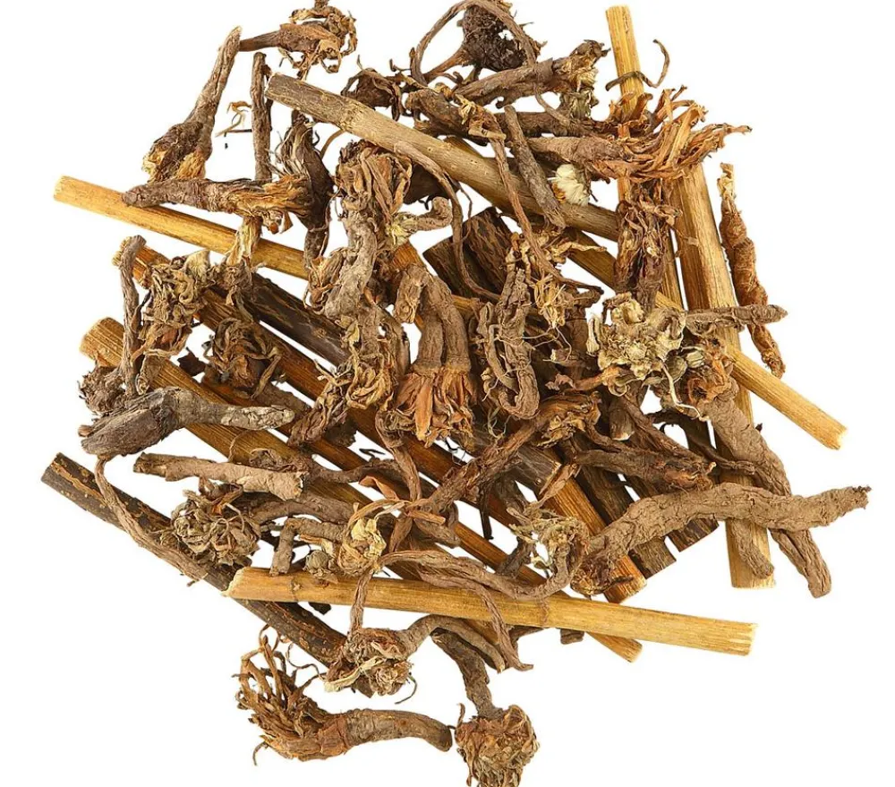 Dehner Best Nature Löwenzahn-Mix, 90 g Outlet
