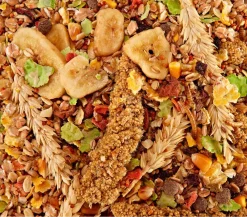 Dehner Best Nature Kleintierfutter > Rennmausfutter, 500 g