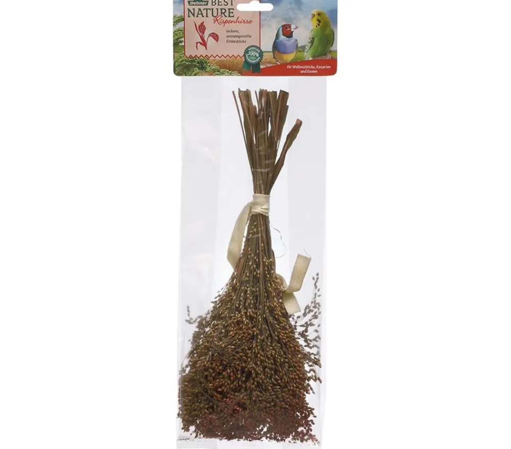 Dehner Best Nature Vogelfutter & Snacks > Rispenhirse, 50 g