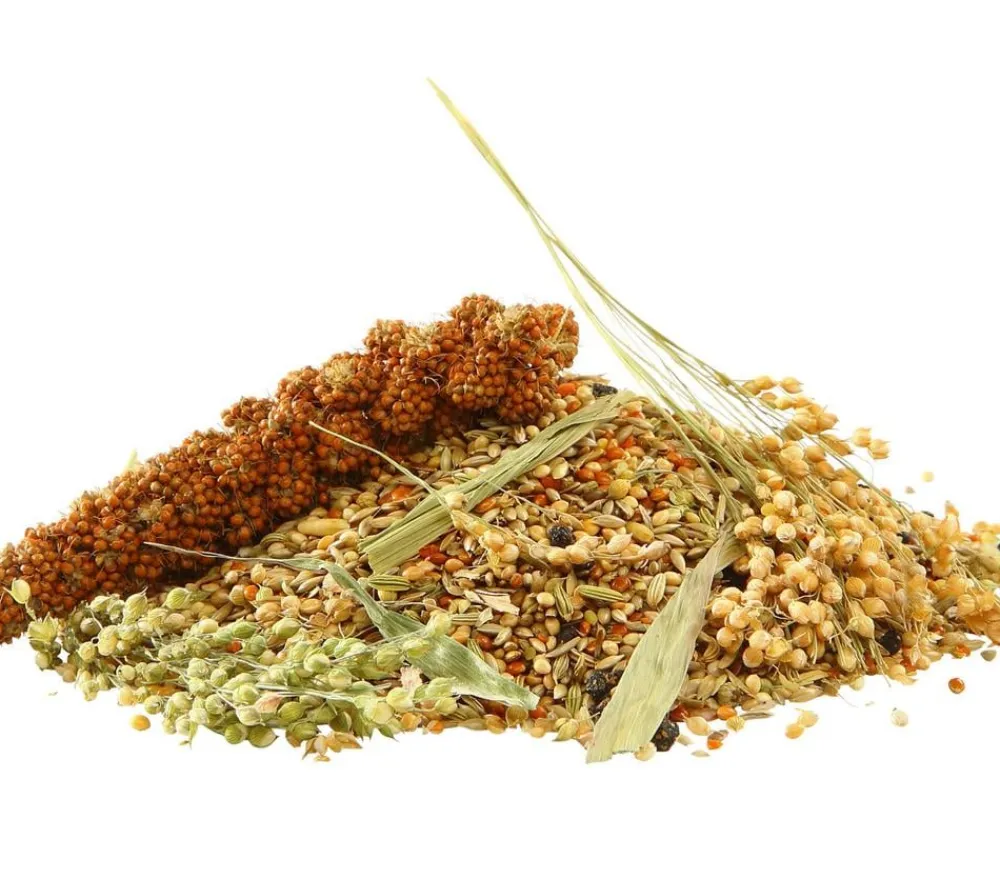 Dehner Best Nature Vogelfutter & Snacks - Vogelfutter Wellensittiche