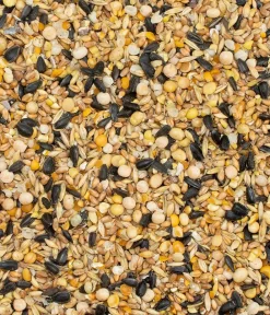 Dehner Best Nature Bauernhof Zubehör - Wachtelfutterergänzung Bio Wachtelkorn