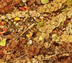 Dehner Best Nature Zwerghamsterfutter, 500 g Best