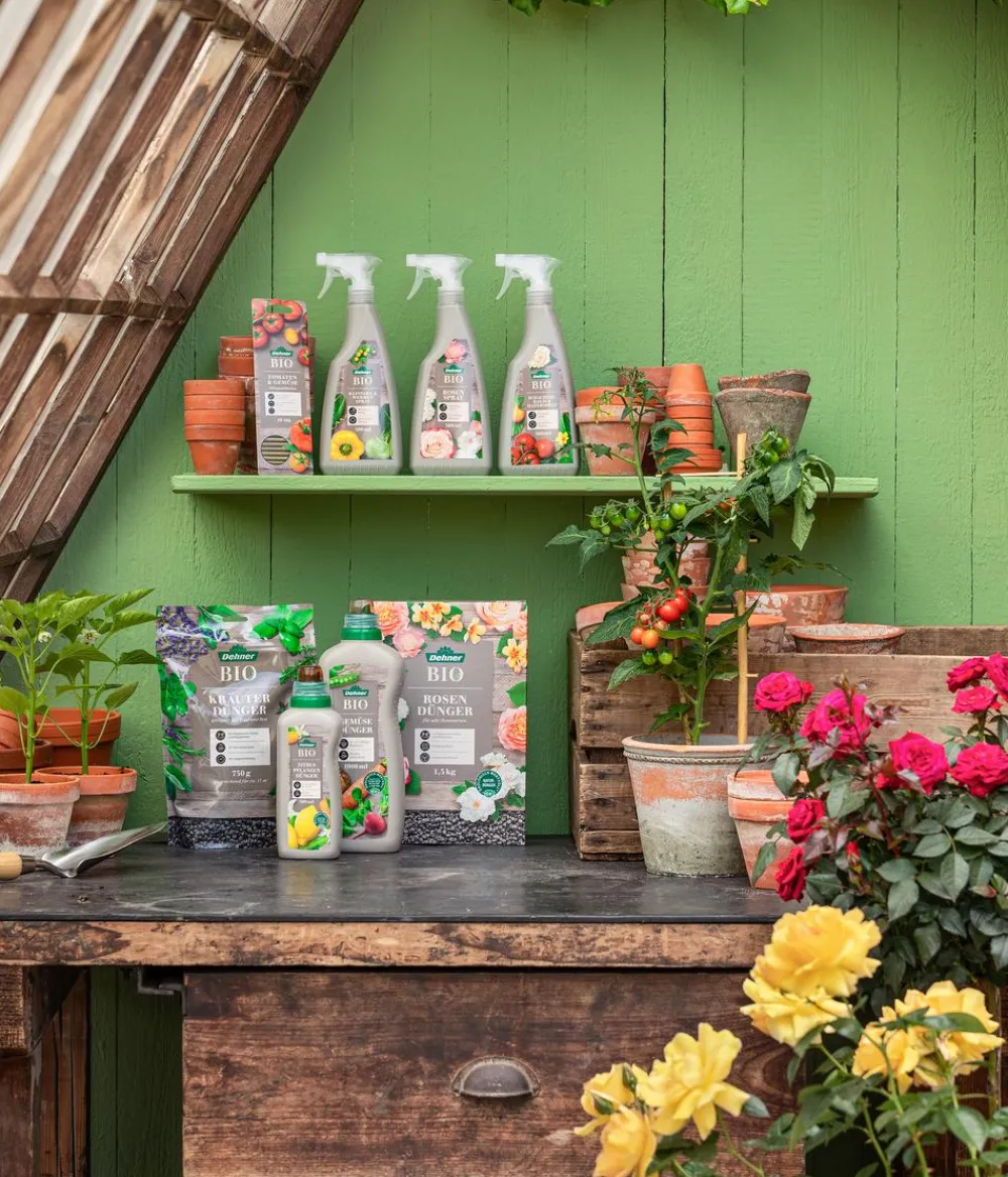 Dehner Bio Obst- & Gemüsedünger|Bio-Dünger - Gemüse-Dünger, flüssig, 1 l