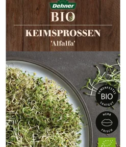 Dehner Bio -Keimsprossen 'Alfalfa' New