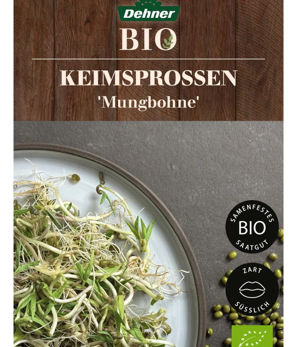 Dehner Bio -Keimsprossen 'Mungbohne' Hot