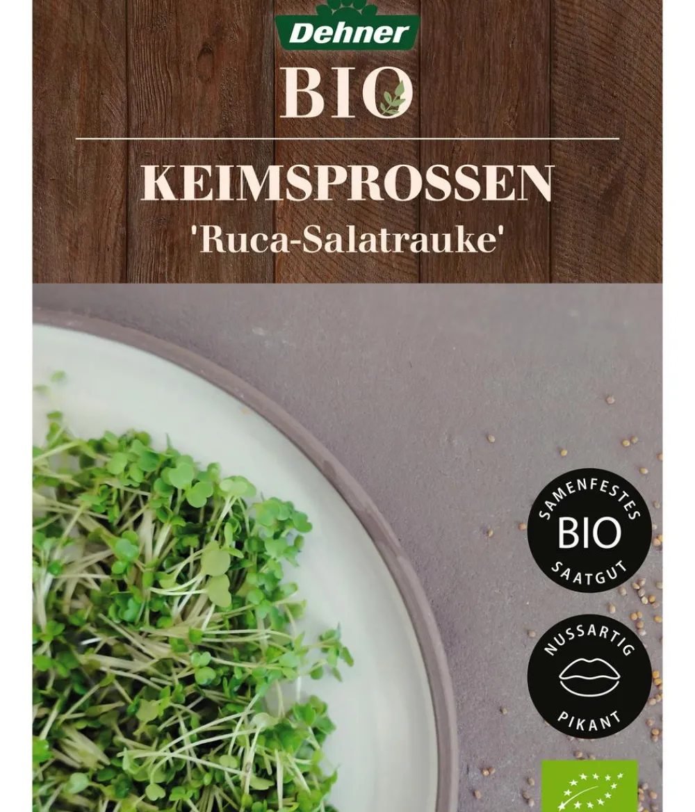 Dehner Bio -Keimsprossen 'Ruca-Salatrauke' Clearance